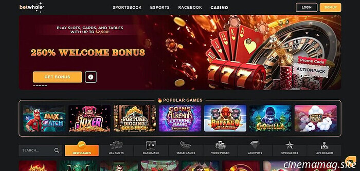 I migliori siti per giocare alla slot Book of Dead | Recensione slot e casinò